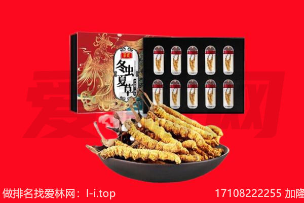 钟山区回收虫草.jpg